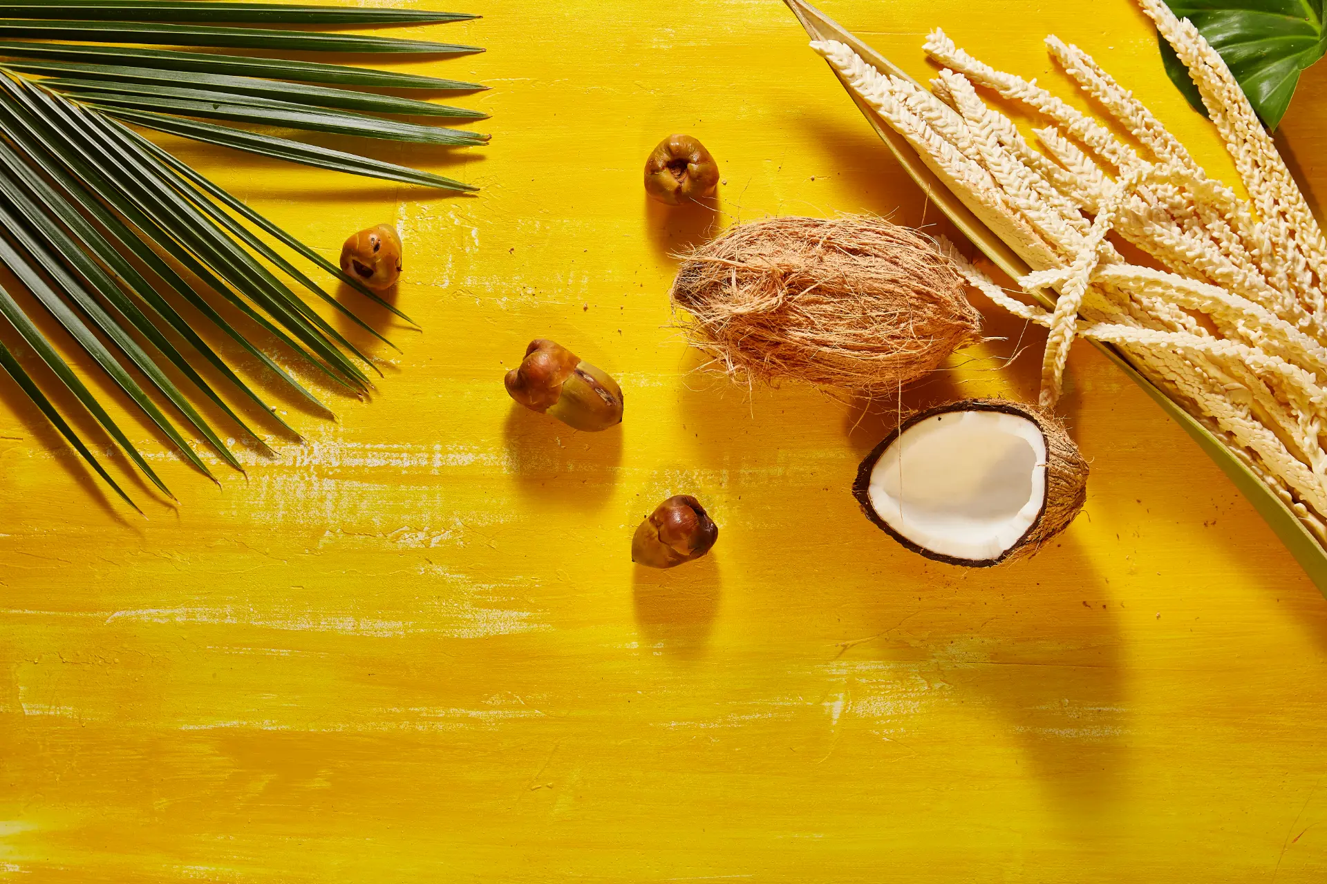 Coconut Products Suppliers | Coconut Food Products | CBL Natural Foods